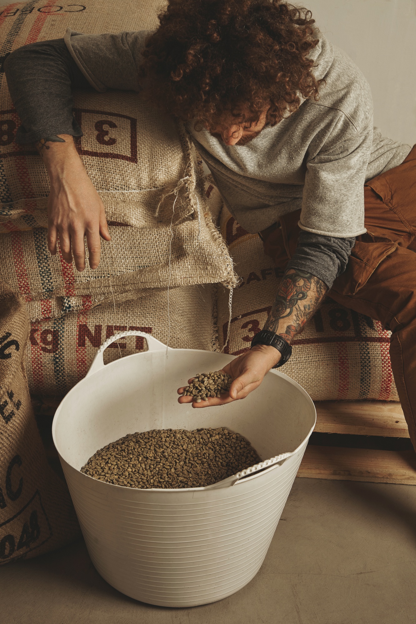 Barista avaliando grãos de café verde em cesta de armazenamento